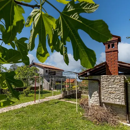 Sladonja * Pula